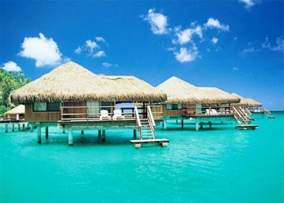 Çelik Yapı Ahşap Dekorasyon Evleri, Yapılandırılmış Bungalow Evleri Kitleri